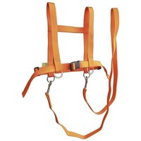 NIC 810903 - Kinder-Pferdespielleine, orange, Kinder-Pferdegeschirr, verstellbar, Gurtband von NIC