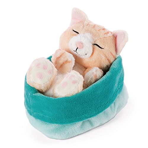 NICI 47145 Kuscheltier blau-grünem Körbchen 16 cm – Sleeping Kitties Plüschtier Mädchen, Jungen & Babys – Stofftier Katze zum Kuscheln, Spielen & Schlafen – Gemütliches Schmusetier, Braun NICI 47145 Kuscheltier blau-grünem Körbchen 16 cm – Sleeping Kitties Plüschtier Mädchen, Jungen & Babys – Stofftier Katze zum Kuscheln, Spielen & Schlafen – Gemütliches Schmusetier, Braun von NICI