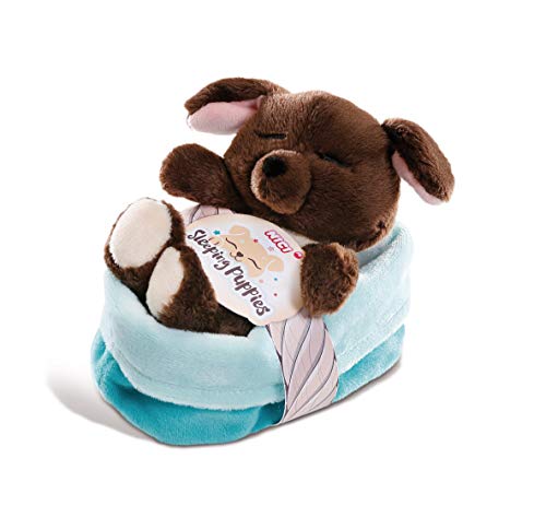 NICI 48112 Puppy Kuscheltier Sleeping Puppies Hund 12cm, braun, im blau-grünen Körbchen, S NICI 48112 Puppy Kuscheltier Sleeping Puppies Hund 12cm, braun, im blau-grünen Körbchen, S von NICI