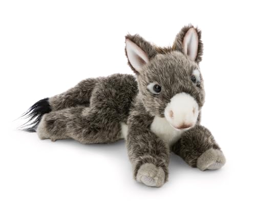 NICI Kuscheltier Esel 20cm - grau - Weiches Plüschtier – niedliches Stofftier zum Kuscheln & Spielen – tolle Geschenkidee für Kinder & Erwachsene | 62604 NICI Kuscheltier Esel 20cm - grau - Weiches Plüschtier – niedliches Stofftier zum Kuscheln & Spielen – tolle Geschenkidee für Kinder & Erwachsene | 62604 von NICI