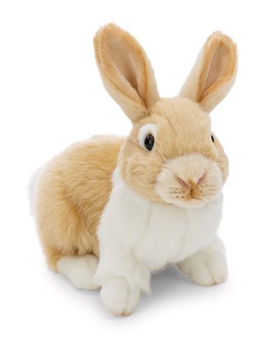 NICI Kuscheltier Hase 20cm - beige - Weiches Plüschtier – niedliches Stofftier zum Kuscheln & Spielen – tolle Geschenkidee für Kinder & Erwachsene | 62601 NICI Kuscheltier Hase 20cm - beige - Weiches Plüschtier – niedliches Stofftier zum Kuscheln & Spielen – tolle Geschenkidee für Kinder & Erwachsene | 62601 von NICI