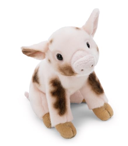 NICI Kuscheltier Schwein 20cm - pink - Weiches Plüschtier – niedliches Stofftier zum Kuscheln & Spielen – tolle Geschenkidee für Kinder & Erwachsene | 62605 von NICI