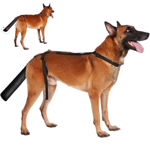 Hundeschwanzschutz Anti-Lick-Schutzhund-Schwanzabdeckung für Wunden mit offenem Ende Oxford Stoff Hund Wundabdeckung Hundeversorgungen, Anti-Licking und Biss einstellbare Schutzausrüstung schwarz, l Hundeschwanzschutz Anti-Lick-Schutzhund-Schwanzabdeckung für Wunden mit offenem Ende Oxford Stoff Hund Wundabdeckung Hundeversorgungen, Anti-Licking und Biss einstellbare Schutzausrüstung schwarz, l von NIDONE