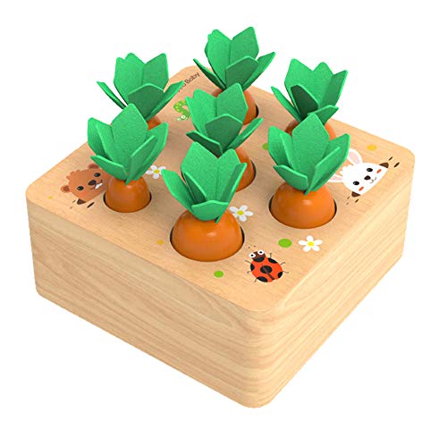 NIWWIN Pädagogische Karotten Ernte Holz Kleinkinder Spielzeug Sortierspiel, Entwicklung Montessori Spielzeug Vorschule Lernen Feinmotorik Jungen Mädchen Spielzeug (FBM-Carrot-A) von NIWWIN