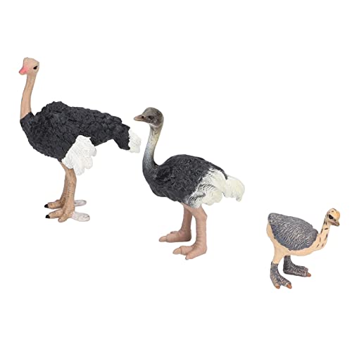 NIZUUONE Ostrich Spielzeug Handbemalte Färbung Exquisite Handwerkskunst Tierfiguren Kleine Größe Geeignete Babys Spielzeugvögel Miniaturmodell NIZUUONE Ostrich Spielzeug Handbemalte Färbung Exquisite Handwerkskunst Tierfiguren Kleine Größe Geeignete Babys Spielzeugvögel Miniaturmodell von NIZUUONE