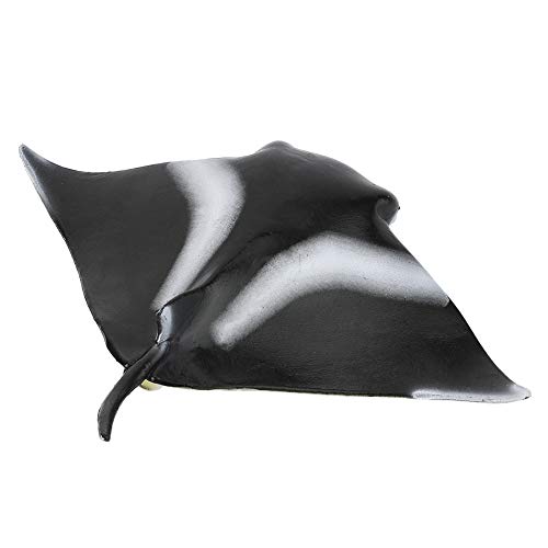 NIZUUONE Strahlen Manta Sicher und Nicht Fischfigur Spielzeugmodell für die Entwicklung von Schwarzem Plastikschwarz 13 * 15 * 2 cm NIZUUONE Strahlen Manta Sicher und Nicht Fischfigur Spielzeugmodell für die Entwicklung von Schwarzem Plastikschwarz 13 * 15 * 2 cm von NIZUUONE
