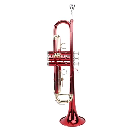 NIZUUONE Trompete für Anfänger Schüler Trompete Starter mit Flexiblen Folien Glatte Ventile Diamant Poliertes Mundstück für Band Orchestra Musiker NIZUUONE Trompete für Anfänger Schüler Trompete Starter mit Flexiblen Folien Glatte Ventile Diamant Poliertes Mundstück für Band Orchestra Musiker von NIZUUONE