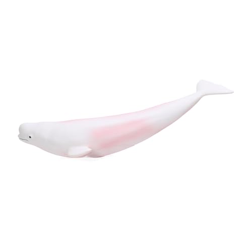 NIZUUONE Weißwalmodell Beluga Whale Figur 27,5 cm Lebensechtiges Weiches Plastik -Ozean -Tierspielzeug mit Handbemalten Details Zur Meeresausbildung und Aquariumausstellung NIZUUONE Weißwalmodell Beluga Whale Figur 27,5 cm Lebensechtiges Weiches Plastik -Ozean -Tierspielzeug mit Handbemalten Details Zur Meeresausbildung und Aquariumausstellung von NIZUUONE