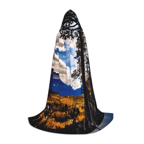 NImongt Rocky Mountain Range Print Teenager Kinder und Erwachsene Kapuzenumhang Zauberer Gothic Robe Karneval Halloween Cosplay NImongt Rocky Mountain Range Print Teenager Kinder und Erwachsene Kapuzenumhang Zauberer Gothic Robe Karneval Halloween Cosplay von NImongt