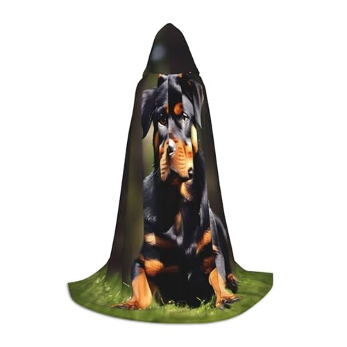 NImongt Rottweiler Tapetendruck, Teenager, Kinder und Erwachsene, Kapuzenumhang, Zauberer, Gothic, Robe, Karneval, Halloween, Cosplay NImongt Rottweiler Tapetendruck, Teenager, Kinder und Erwachsene, Kapuzenumhang, Zauberer, Gothic, Robe, Karneval, Halloween, Cosplay von NImongt