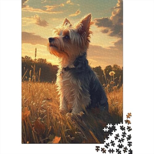 Yorkshire Terrier Puzzle 1000-teilige Schwer Puzzle Spielzeug Lernspiel Impossible Herausforderungsspielzeug Für Erwachsene Kinder 1000pcs (75x50cm) von NJOFERDIN
