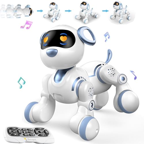 NMM Roboter Spielzeug für Kinder, Programmierbarer Roboter Hund mit Berührungssensoren und Fernsteuerung, Tanz und Musikfunktionen,Roboter Hund Spielzeug ab 3, 4, 5, 6, 7, 8 Jahren von NMM
