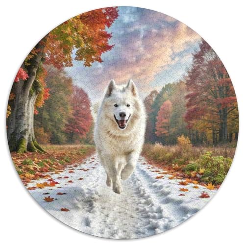 Amerikanischer Eskimo Hund 1000 Stück Jigsaw Puzzles Bildungsspiele Kreativ Haustierhund Runde Puzzles Einzigartige Herausforderung Spiel Für Reisegeschenke, Geschenk 1000pcs (67.5x67.5cm) von NOASDGYEI