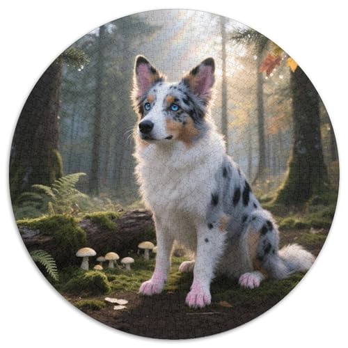 Australischer Schäfer 1000 Stück Jigsaw Puzzles Bildungsspiele Kreativ Haustierhund Rundes Jigsaw Schöne Dekoration Puzzle Für Reisegeschenke, Geschenk 1000pcs (67.5x67.5cm) von NOASDGYEI