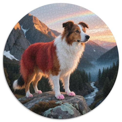 Australischer Schäfer 1000 Stück Jigsaw Puzzles Bildungsspiele Stressmittel Haustierhund Rundes Jigsaw Einzigartige Herausforderung Spiel Für Reisegeschenke, Geschenk 1000pcs (67.5x67.5cm) von NOASDGYEI