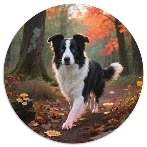 Australischer Schäfer 1000 Stück Jigsaw Puzzles Bildungsspiele Stressmittel Haustierhund Rundes Jigsaw Farbe Herausforderung Für Reisegeschenke, Geschenk 1000pcs (67.5x67.5cm) von NOASDGYEI