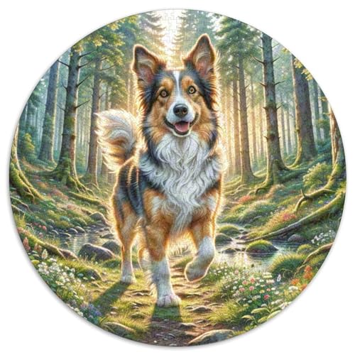 Brüssel Griffon 1000 Stück Jigsaw Puzzles Bildungsspiele Kreativ Haustierhund Rundes Jigsaw Farbe Herausforderung Für Reisegeschenke, Geschenk 1000pcs (67.5x67.5cm) von NOASDGYEI