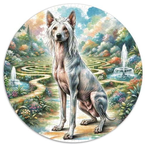 Chinesischer Crested Hund 1000 Stück Jigsaw Puzzles Bildungsspiele Kreativ Haustierhund Rundes Jigsaw Farbe Herausforderung Für Erwachsene Und Kinder 1000pcs (67.5x67.5cm) von NOASDGYEI
