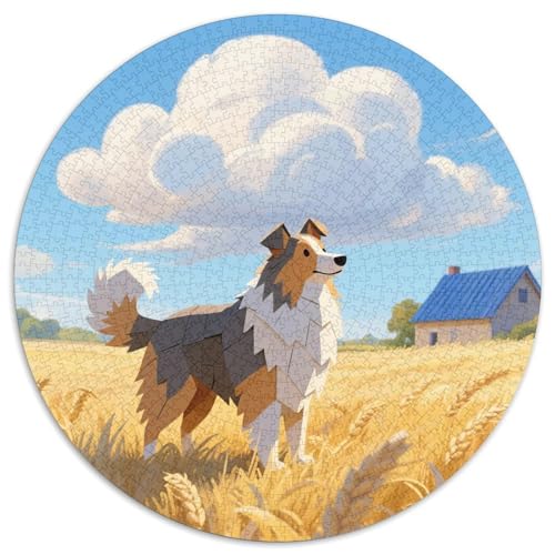 Collie Schafhund 1000 Stück Jigsaw Puzzles Bildungsspiele Kreativ Haustierhund Runde Puzzles Einzigartige Herausforderung Spiel Für Reisegeschenke, Geschenk 1000pcs (67.5x67.5cm) von NOASDGYEI