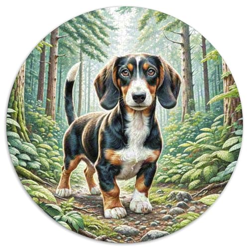 Dachshund 1000 Stück Jigsaw Puzzles Bildungsspiele Stressmittel Haustierhund Rundes Jigsaw Einzigartige Herausforderung Spiel Für Erwachsene Und Kinder 1000pcs (67.5x67.5cm) von NOASDGYEI