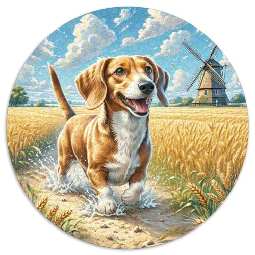 Dachshund 1000 Stück Jigsaw Puzzles Bildungsspiele Stressmittel Haustierhund Rundes Jigsaw Schöne Dekoration Puzzle Für Erwachsene Und Kinder 1000pcs (67.5x67.5cm) von NOASDGYEI
