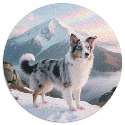 Der Border Collie 1000 Stück Jigsaw Puzzles Bildungsspiele Kreativ Haustierhund Rundes Jigsaw Einzigartige Herausforderung Spiel Für Reisegeschenke, Geschenk 1000pcs (67.5x67.5cm) von NOASDGYEI