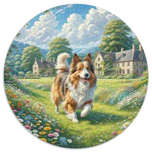 Der Parson Russell Terrier （5） 1000 Stück Jigsaw Puzzles Bildungsspiele Stressmittel Haustierhund Rundes Jigsaw Schöne Dekoration Puzzle Für Erwachsene Und Kinder 1000pcs (67.5x67.5cm) von NOASDGYEI