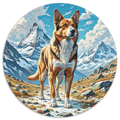 Der Parson Russell Terrier 1000 Stück Jigsaw Puzzles Bildungsspiele Kreativ Haustierhund Rundes Jigsaw Schöne Dekoration Puzzle Für Reisegeschenke, Geschenk 1000pcs (67.5x67.5cm) von NOASDGYEI