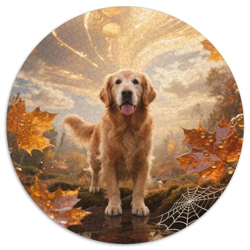 Goldener Retriever 1000 Stück Jigsaw Puzzles Bildungsspiele Kreativ Haustierhund Rundes Puzzle Einzigartige Herausforderung Spiel Für Erwachsene Und Kinder 1000pcs (67.5x67.5cm) von NOASDGYEI