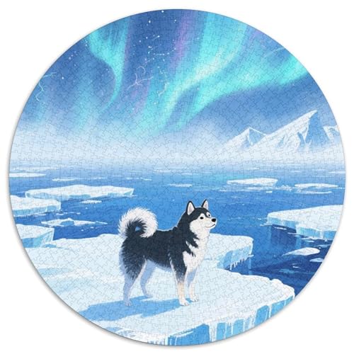 Hokkaido Inu 1000 Stück Jigsaw Puzzles Bildungsspiele Kreativ Haustierhund Runde Puzzles Einzigartige Herausforderung Spiel Für Erwachsene Und Kinder 1000pcs (67.5x67.5cm) von NOASDGYEI