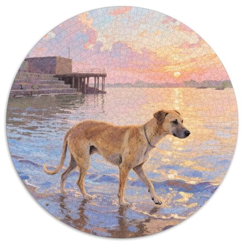 Indischer Pariah Hund 1000 Stück Jigsaw Puzzles Bildungsspiele Stressmittel Haustierhund Rundes Jigsaw Farbe Herausforderung Für Reisegeschenke, Geschenk 1000pcs (67.5x67.5cm) von NOASDGYEI