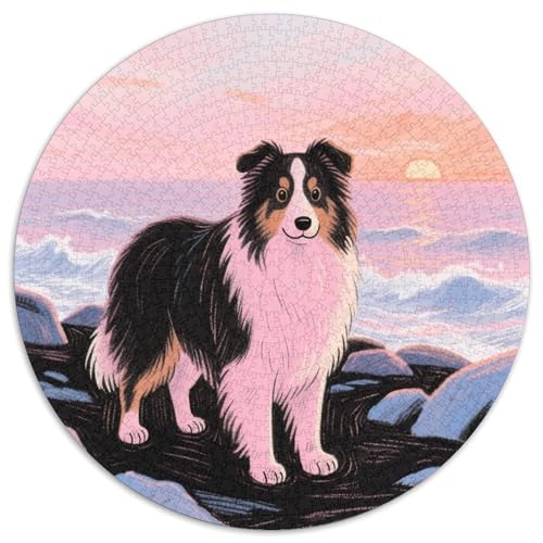 Isländischer Schäferhund 1000 Stück Jigsaw Puzzles Bildungsspiele Stressmittel Haustierhund Rundes Jigsaw Schöne Dekoration Puzzle Für Erwachsene Und Kinder 1000pcs (67.5x67.5cm) von NOASDGYEI