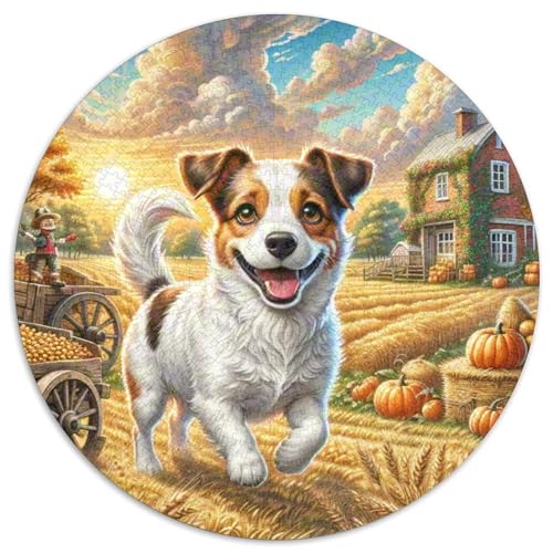 Jack Russell Terrier （3） 1000 Stück Jigsaw Puzzles Bildungsspiele Kreativ Haustierhund Runde Puzzles Einzigartige Herausforderung Spiel Für Erwachsene Und Kinder 1000pcs (67.5x67.5cm) von NOASDGYEI