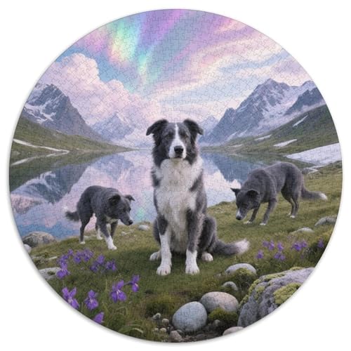 Kanaanischer Hund 1000 Stück Jigsaw Puzzles Bildungsspiele Stressmittel Haustierhund Rundes Puzzle Schöne Dekoration Puzzle Für Reisegeschenke, Geschenk 1000pcs (67.5x67.5cm) von NOASDGYEI