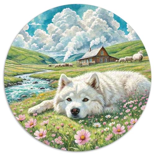 Lhasa Apso 1000 Stück Jigsaw Puzzles Bildungsspiele Kreativ Haustierhund Rundes Jigsaw Farbe Herausforderung Für Erwachsene Und Kinder 1000pcs (67.5x67.5cm) von NOASDGYEI
