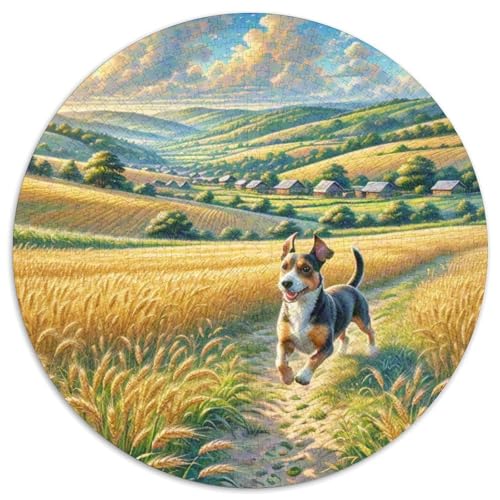 Miniatur Pinscher 1000 Stück Jigsaw Puzzles Bildungsspiele Kreativ Haustierhund Rundes Puzzle Farbe Herausforderung Für Erwachsene Und Kinder 1000pcs (67.5x67.5cm) von NOASDGYEI