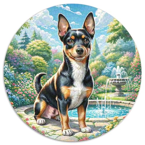 Miniatur Pinscher 1000 Stück Jigsaw Puzzles Bildungsspiele Stressmittel Haustierhund Rundes Puzzle Einzigartige Herausforderung Spiel Für Reisegeschenke, Geschenk 1000pcs (67.5x67.5cm) von NOASDGYEI