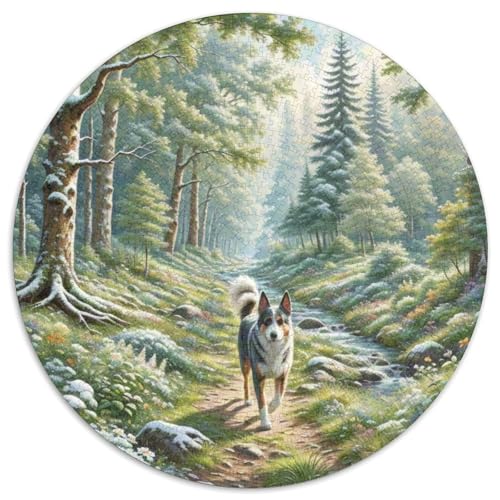 Norwich Terrier 1000 Stück Jigsaw Puzzles Bildungsspiele Kreativ Haustierhund Rundes Jigsaw Schöne Dekoration Puzzle Für Erwachsene Und Kinder 1000pcs (67.5x67.5cm) von NOASDGYEI