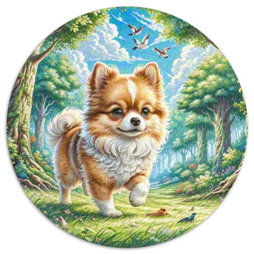 Pommern 1000 Stück Jigsaw Puzzles Bildungsspiele Kreativ Haustierhund Runde Puzzles Einzigartige Herausforderung Spiel Für Reisegeschenke, Geschenk 1000pcs (67.5x67.5cm) von NOASDGYEI