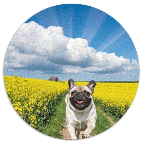 Pug 1000 Stück Jigsaw Puzzles Bildungsspiele Stressmittel Haustierhund Rundes Jigsaw Einzigartige Herausforderung Spiel Für Erwachsene Und Kinder 1000pcs (67.5x67.5cm) von NOASDGYEI