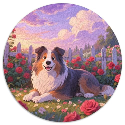 Schottischer Collie 1000 Stück Jigsaw Puzzles Bildungsspiele Kreativ Haustierhund Rundes Jigsaw Schöne Dekoration Puzzle Für Erwachsene Und Kinder 1000pcs (67.5x67.5cm) von NOASDGYEI