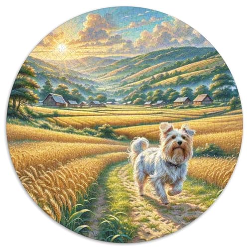 Seidenterrier 1000 Stück Jigsaw Puzzles Bildungsspiele Stressmittel Haustierhund Rundes Jigsaw Einzigartige Herausforderung Spiel Für Erwachsene Und Kinder 1000pcs (67.5x67.5cm) von NOASDGYEI