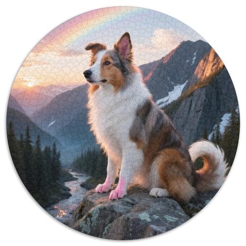 Shetlandsherhund 1000 Stück Jigsaw Puzzles Bildungsspiele Kreativ Haustierhund Runde Puzzles Schöne Dekoration Puzzle Für Erwachsene Und Kinder 1000pcs (67.5x67.5cm) von NOASDGYEI