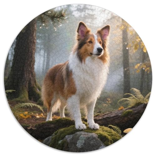 Shetlandsherhund 1000 Stück Jigsaw Puzzles Bildungsspiele Kreativ Haustierhund Rundes Jigsaw Einzigartige Herausforderung Spiel Für Erwachsene Und Kinder 1000pcs (67.5x67.5cm) von NOASDGYEI