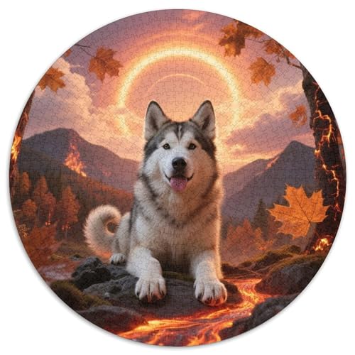 Sibirischer Husky 1000 Stück Jigsaw Puzzles Bildungsspiele Stressmittel Haustierhund Rundes Jigsaw Einzigartige Herausforderung Spiel Für Reisegeschenke, Geschenk 1000pcs (67.5x67.5cm) von NOASDGYEI