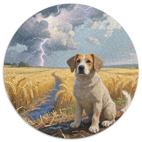 Slowakischer Cuvac 1000 Stück Jigsaw Puzzles Bildungsspiele Stressmittel Haustierhund Runde Puzzles Schöne Dekoration Puzzle Für Reisegeschenke, Geschenk 1000pcs (67.5x67.5cm) von NOASDGYEI