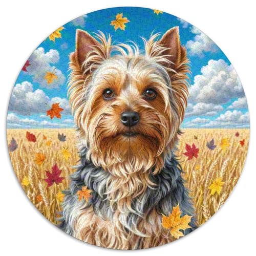 Yorkshire Terrier4 1000 Stück Jigsaw Puzzles Bildungsspiele Kreativ Haustierhund Rundes Jigsaw Schöne Dekoration Puzzle Für Erwachsene Und Kinder 1000pcs (67.5x67.5cm) von NOASDGYEI