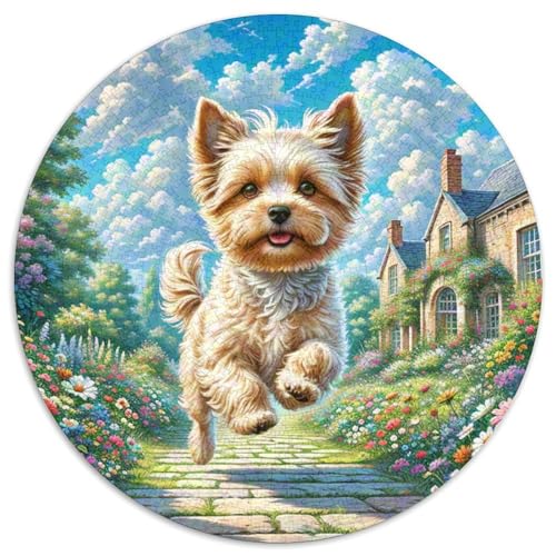 maltesisch 1000 Stück Jigsaw Puzzles Bildungsspiele Kreativ Haustierhund Rundes Jigsaw Einzigartige Herausforderung Spiel Für Erwachsene Und Kinder 1000pcs (67.5x67.5cm) von NOASDGYEI