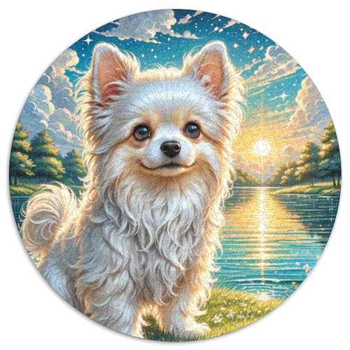 maltesisch 1000 Stück Jigsaw Puzzles Bildungsspiele Kreativ Haustierhund Rundes Jigsaw Farbe Herausforderung Für Erwachsene Und Kinder 1000pcs (67.5x67.5cm) von NOASDGYEI