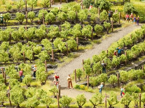 NOCH® Weinreben, 24 Rebstöcke, ca. 1,6 cm hoch für die Spurweiten N, Z ideal für Modellbau und Dioramen von NOCH